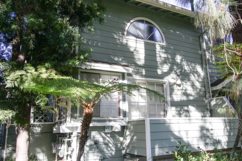 The numerous windows located within 2474 Centinela