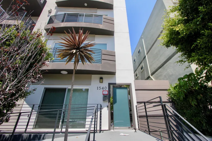 Brown walls of Amherst Terrace and awesome flowering plants, West La, california