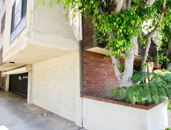 large trees around an old building in Amherst Villas II, west la