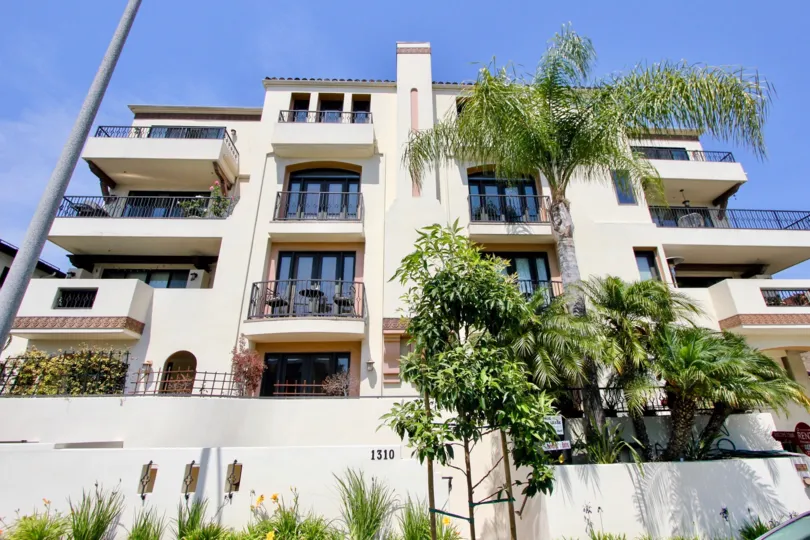 large buildling with several windows and balconies and palm tree gardens with grassy flowers