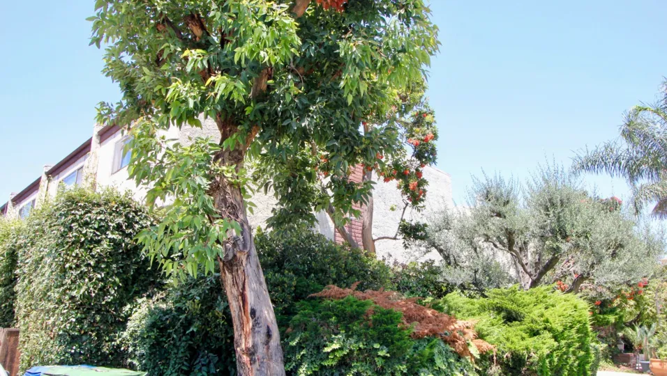 Barrington Gardens and her unique looks, West La, California