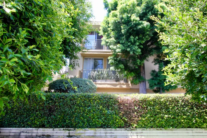 Unbeatable greenery surrounding Barrington West Gardens apartment, West La, Caliofornia