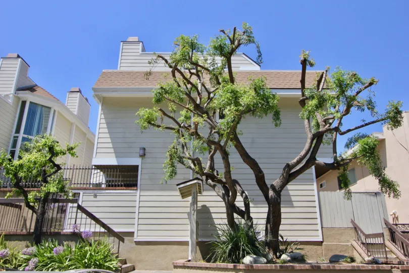 Unique climbing trees and brick planters landscape the steps up to these condos