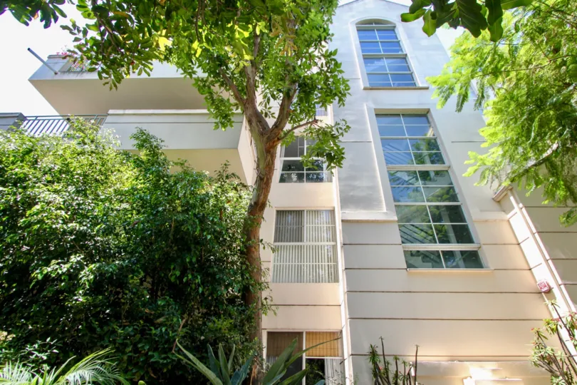Tall windows in this building with mature trees shrubs and gardens