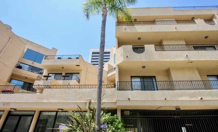 bentley regency west la california apartment homes palm tree