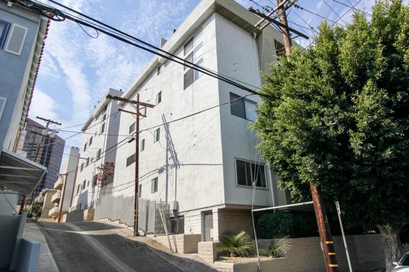 back alley with small gardens and large trees and visible powerlines