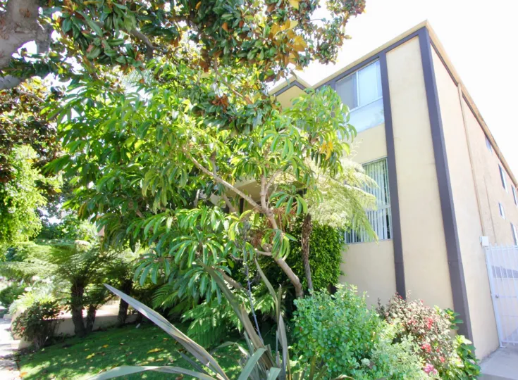 Side view of the amazing Brentwood Terrace and the surrounding shrubs, West La, California