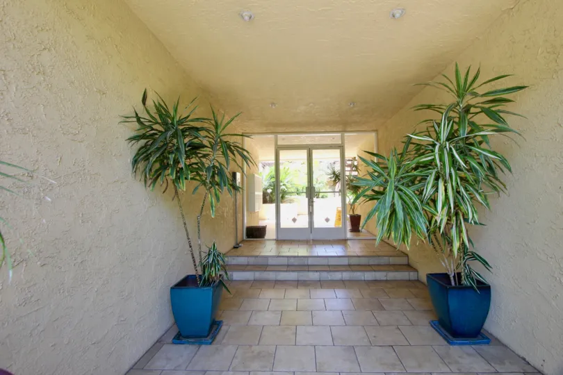 hall way of building at the brentwood terrace commuinty, with two palm tree plants on the sides