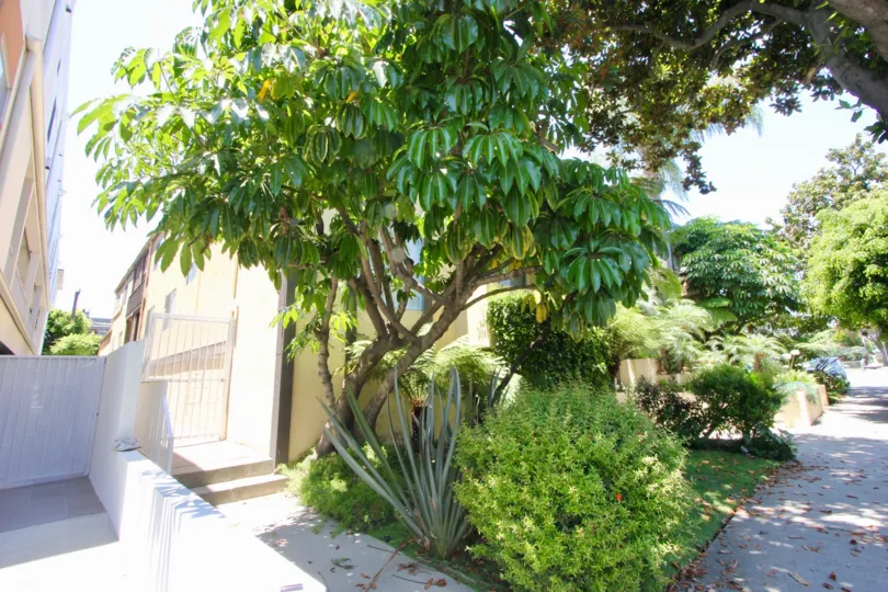 Exterior entrance of buildings with some vegetation in Brentwood Terrace West LA California