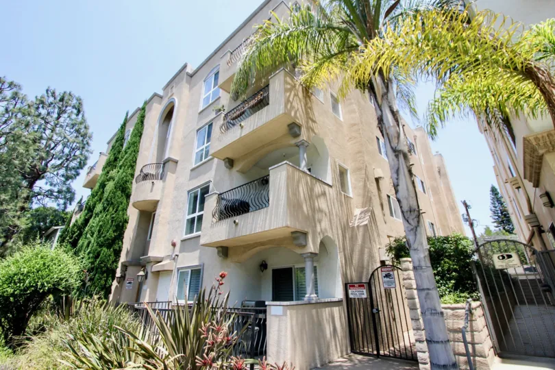Building with agave plants garden and balconies and windows adorned with sweet palm trees