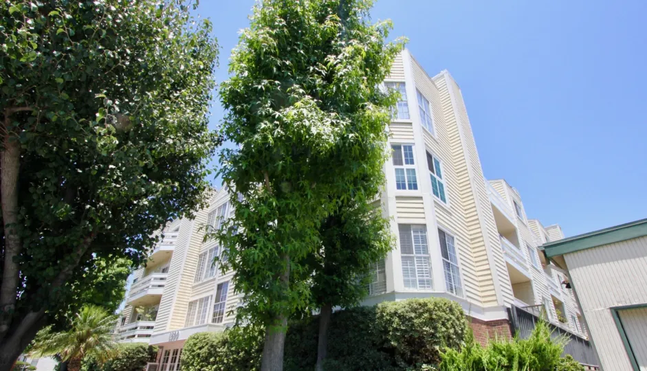 trees outside the three story apartment building at Claridge