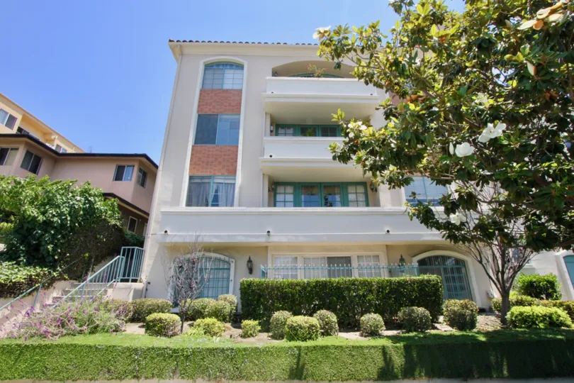 Trees garden with boxwood shrubs trimmed in droplets with condo building