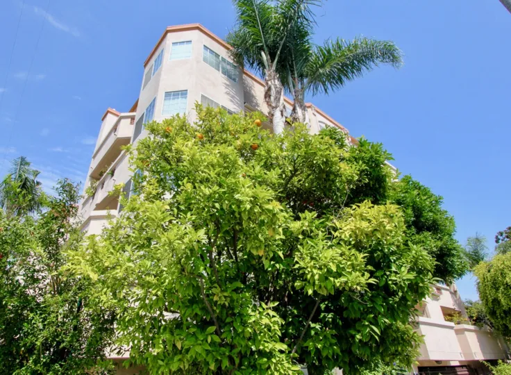 This all building is blocked by trees and large windows but palm trees show their luster