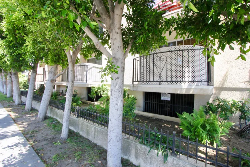 Balconies at Lafayette Court in West LA, California are protected by mature trees