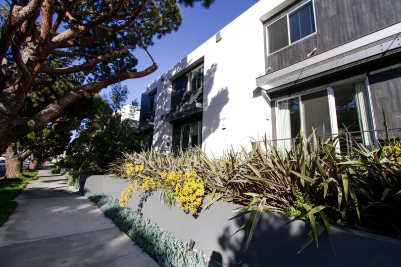 The landscaping seen around National Modern Living