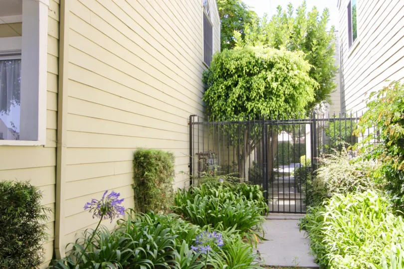 Yellow wooden walls of Nebraska Manor Townhomes and her amazingly beautiful flowers, West La, California