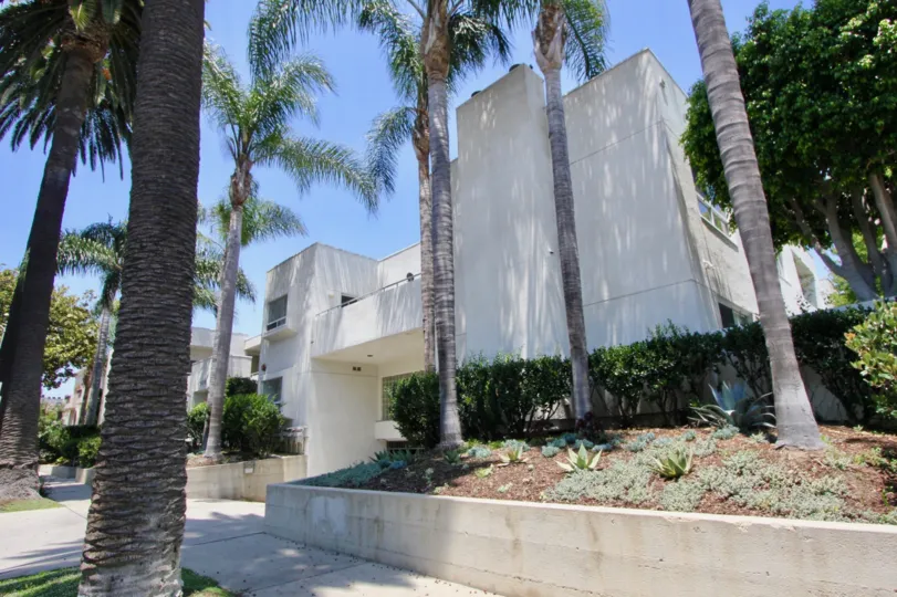 large succulent garden amongst palm trees in thie boxy white apartment complez
