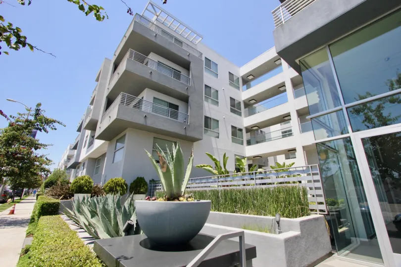 Large windows adorn this modern complex with agauve plants, pottery barn planters and grass gardens