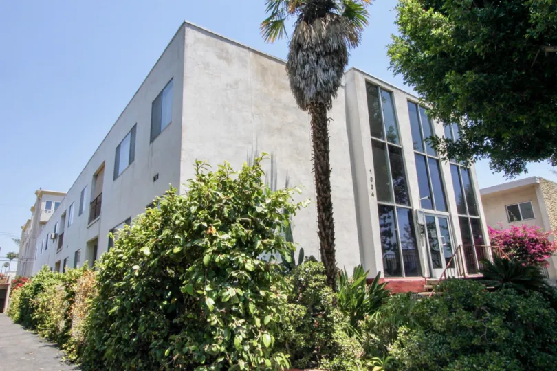 Landscaping and trees near the front of The Carmelina