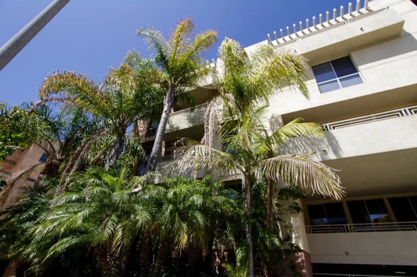 The landscaping around The Courtyard Villas