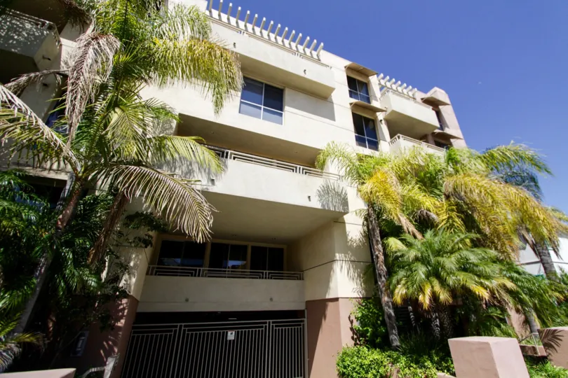The vegetation seen when parking at The Courtyard Villas