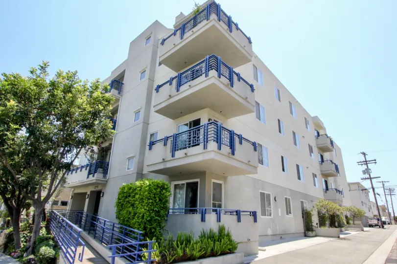 Find a Comfortable, Modern apartment to spend your life expirencing luxury Wellesley Ash