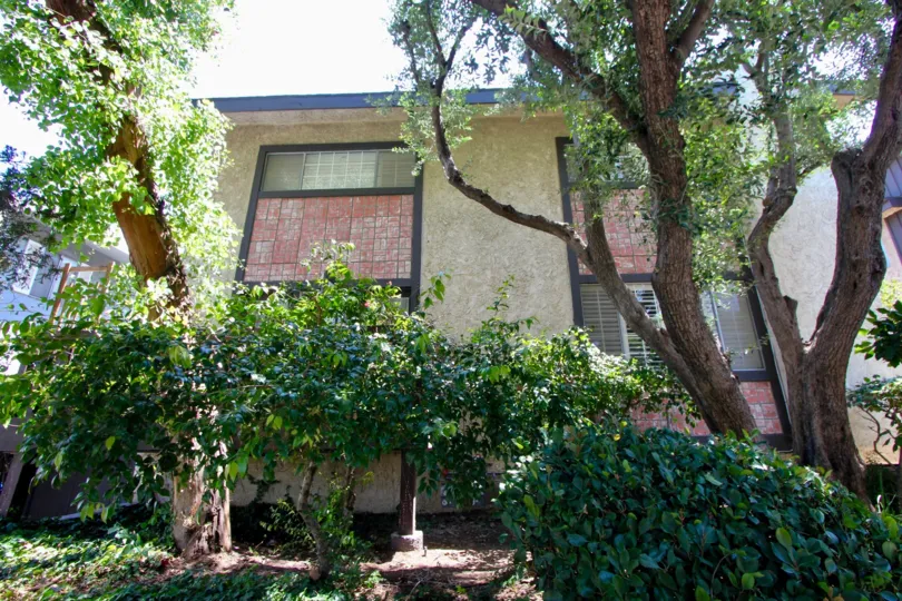back side of house windows are half opened and half closed and sunny day and covered with trees