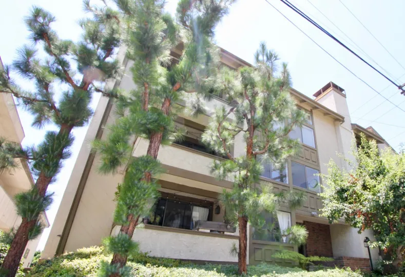 A sunny day in the Westside Villa Townhomes a beautiful house and trees.