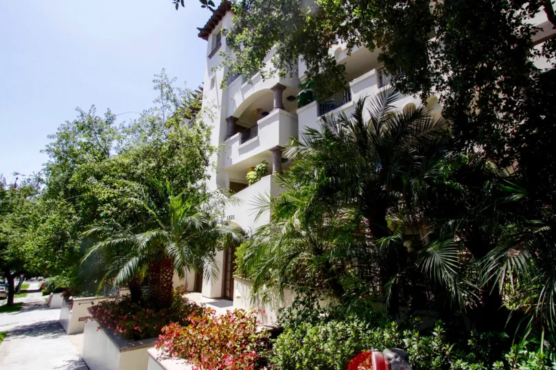 The vegetation seen around the Westwood Fairburn building
