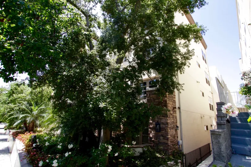 Trees can be seen throughout the property at Westwood Fairburn in West LA