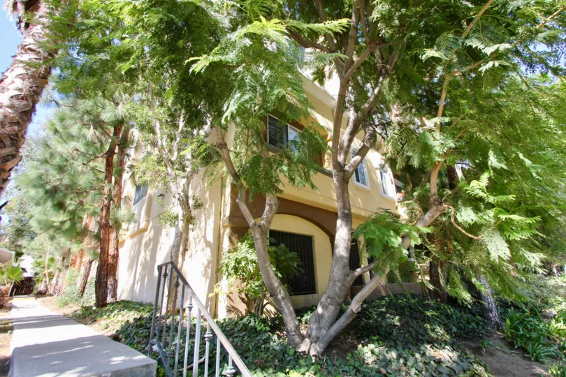 The trees in front of Amalfi Villas