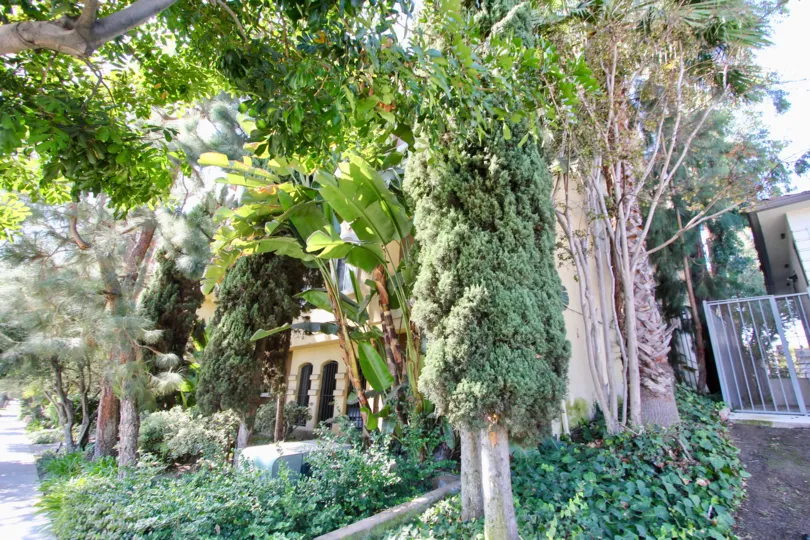 The landscaping around Portofino