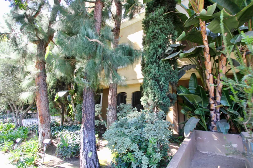 The view of the Portofino