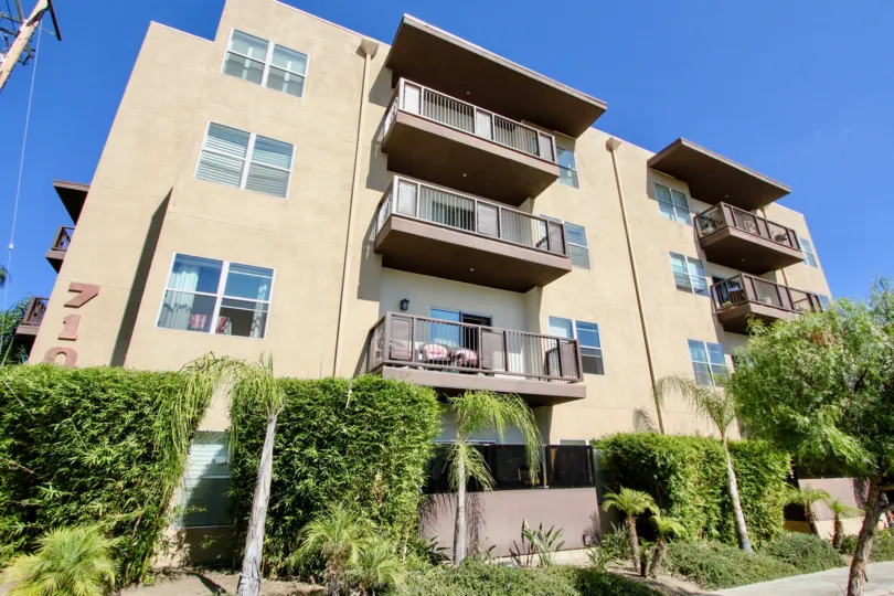 The hedges around Tremont Condominiums