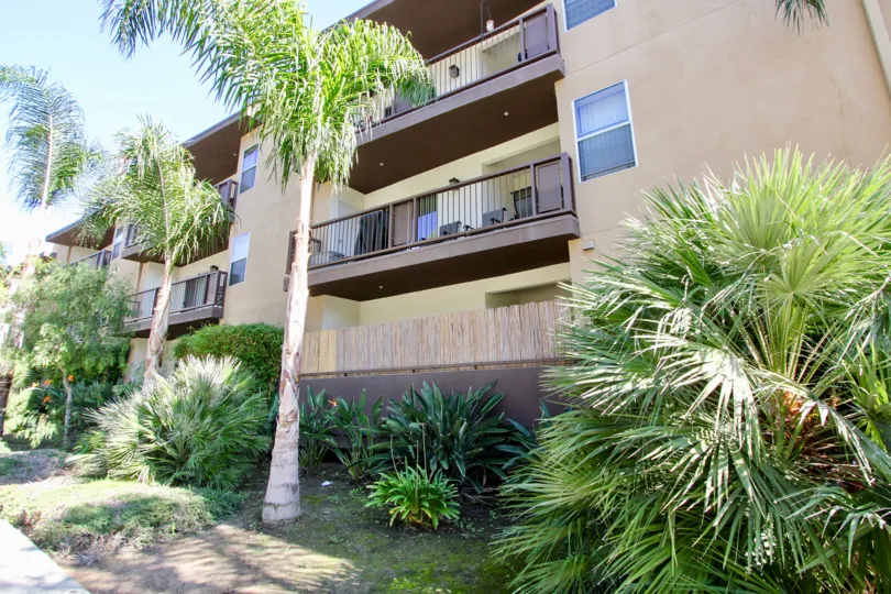 The yard in front of the Tremont Condominiums