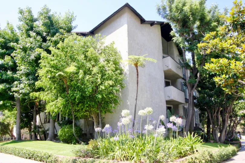Trees surrounded a building in sunny day in 10800 Holman