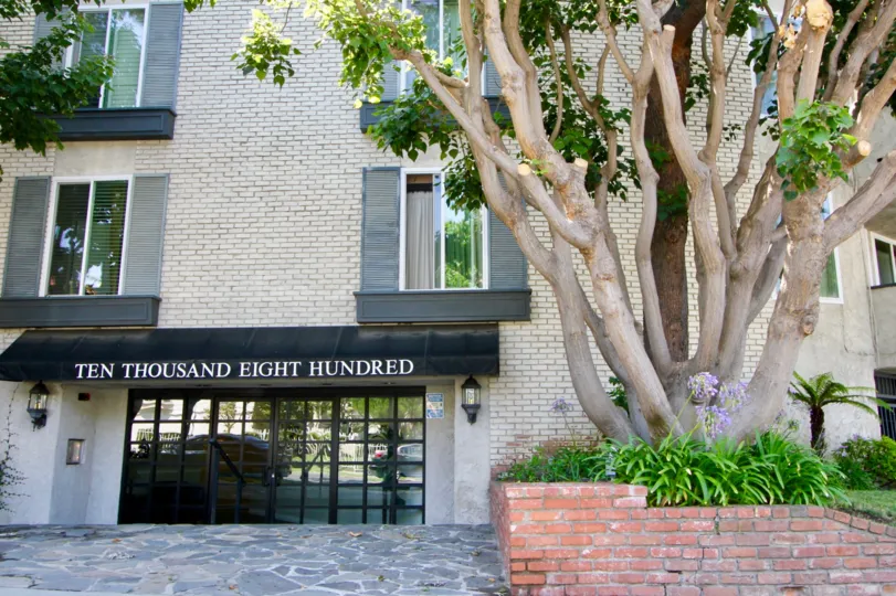 A sunny day in the 1840 camden with beautiful apartment and a big tree infrond of the apartment.