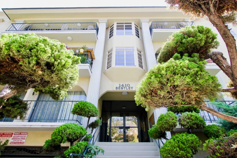 THE TREES TAKE PLACE IN THE FRONT OF THE APARTMENT. ITS VERY BEAUTIFUL.
