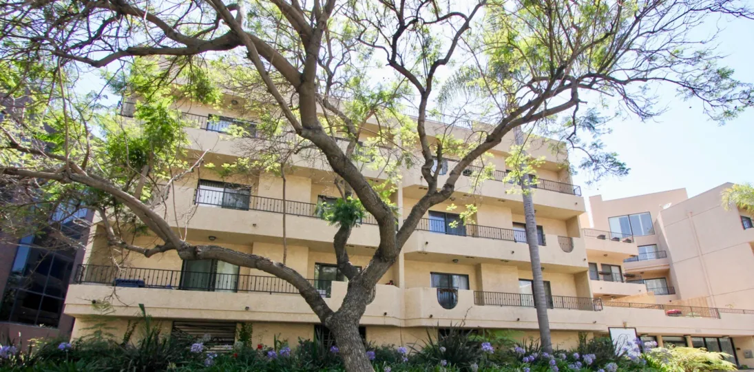 THE TREES TAKE PLASE IN THE FRONT OF THE APPARTMENT. ITS VERY BEAUTIFUL SCENORY.