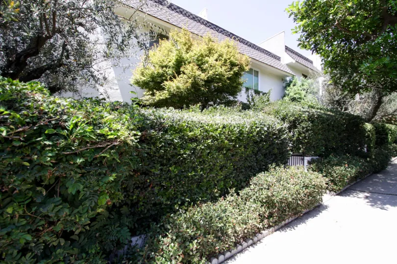 The hedges around 1745 Selby