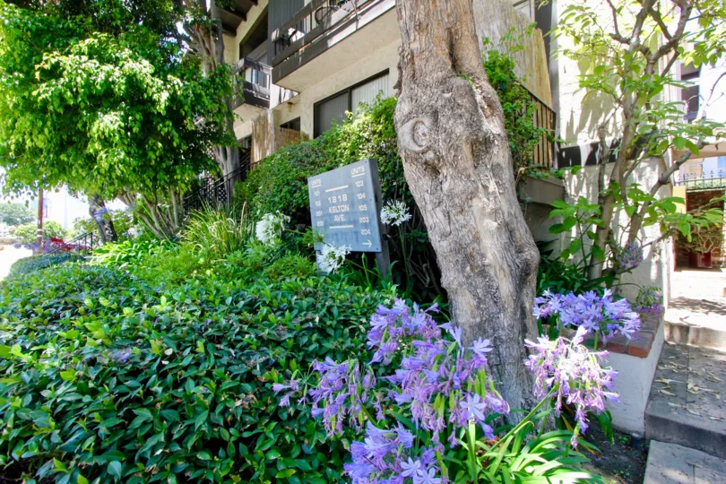 Nearby schools include Global Montessori School Of Westwood, Chalk Preschool Los Angeles and Ralph Waldo Emerson Middle School. The closest grocery stores are Sprouts Farmers Market, A T & C Quality Food Impx Inc and Sun Market. Nearby coffee shops includ