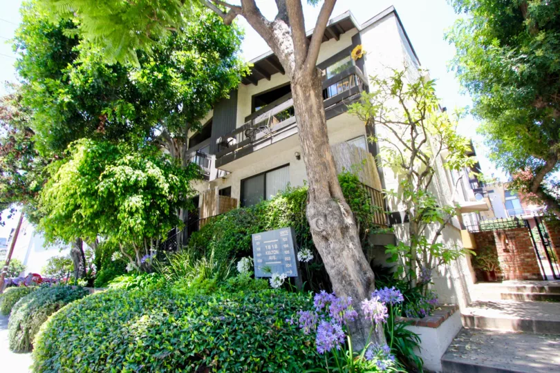 A sunny calm and relaxing day at 1818 Kelton in Westwood, CA