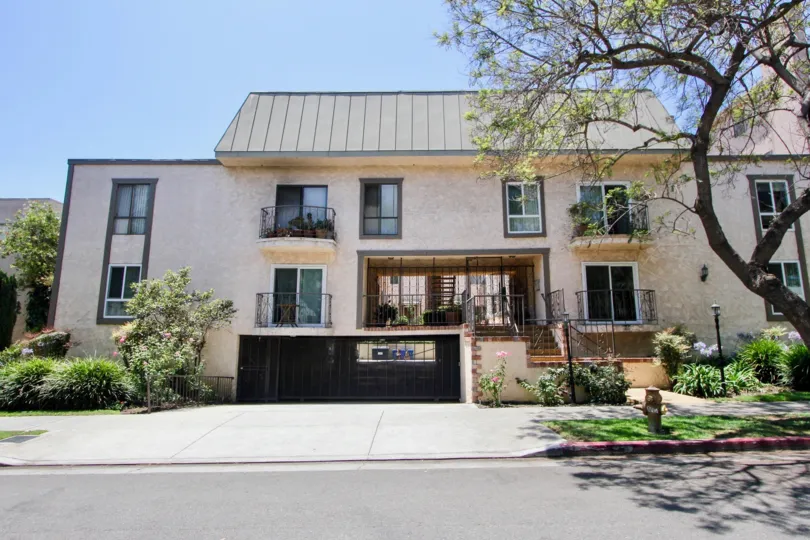 A sunny day in the 1827 Greenfield with beautiful apartment and a big tree infrond of the apartment.