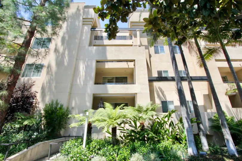 trees and plants in the side of the building yard in 1875 Beverly Glen