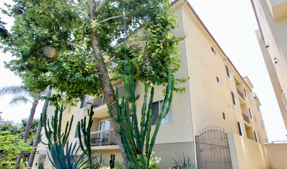 THE 2263 FOX HILLS IS IN THE CITY OF WESTWOOD AND IN THE CITY OF CALIFORNIA.