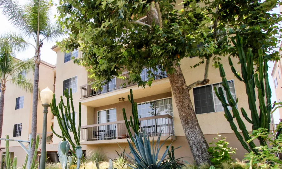 A house with the 3 floor and no of trees and plants.