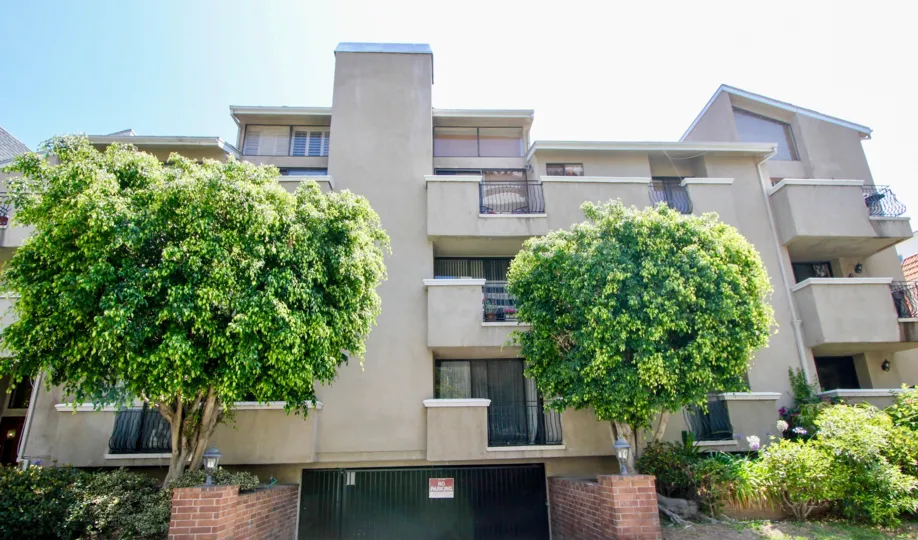 THE TREES TAKE PLACE IN THE FRONT OF THE APARTMENT. ITS VERY BEAUTIFUL SCENORY.