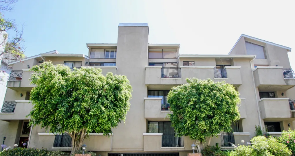A sunny day in the Bentley Gardens with beautiful apartment and a big tree infrond of the apartment.
