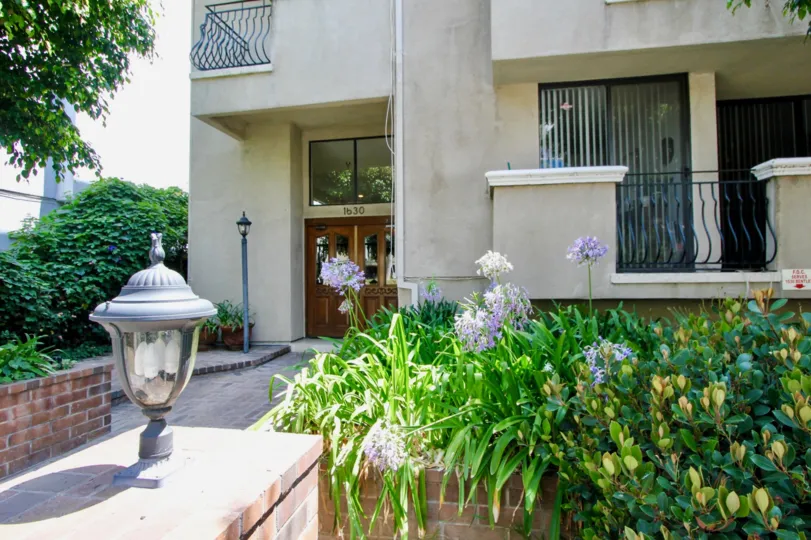 A sunny day with decorative flowers and bushes with lightning bulbs at Bentley Gardens.