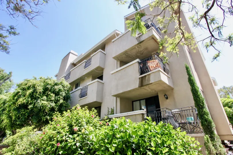THE TREES TAKE PLACE IN THE FRONT OF THE APARTMENT. ITS VERY BEAUTIFUL SCENORY.